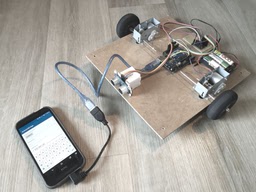 An Android Robot